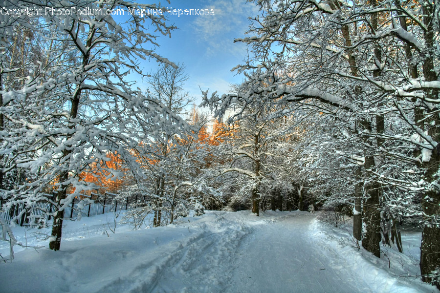 Outdoors, Snow, Landscape, Nature, Scenery