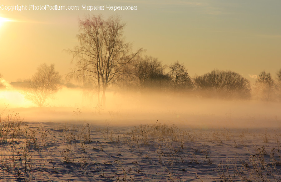 Dawn, Dusk, Nature, Outdoors, Red Sky