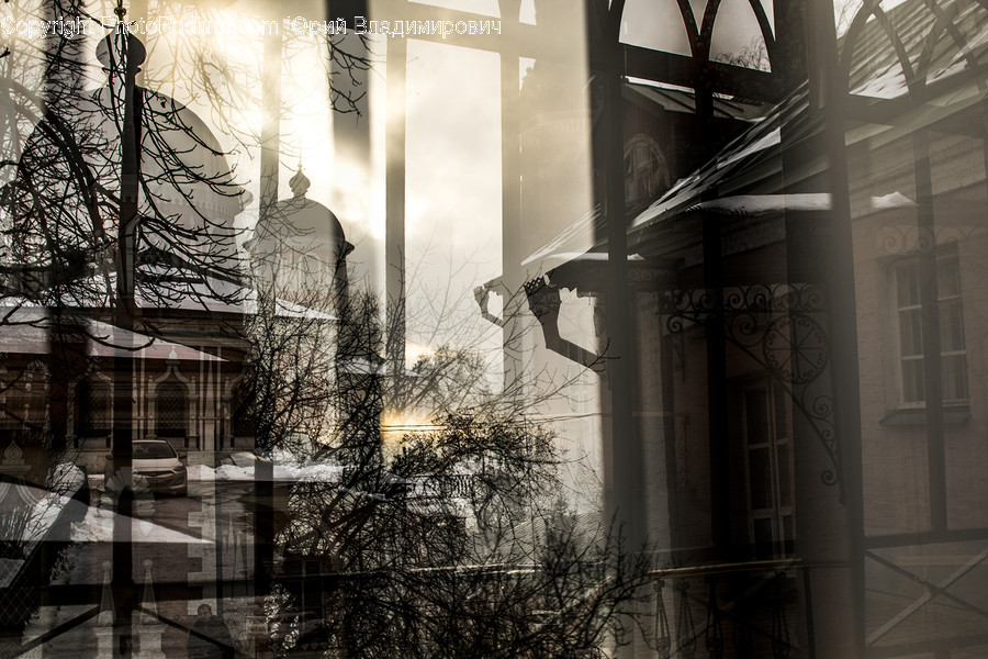 Urban, Building, City, Town, Flora