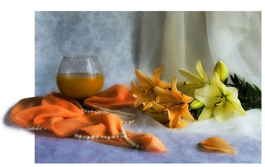 Flora, Flower, Lily, Plant, Blossom, Daffodil, Potted Plant