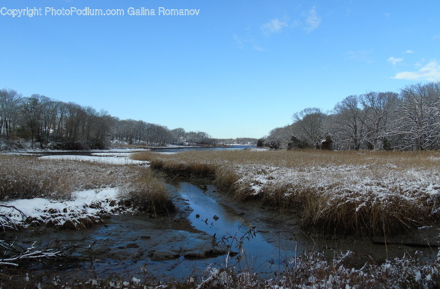 Outdoors, River, Water, Land, Marsh