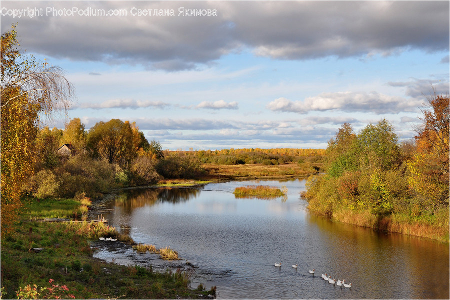 Outdoors, River, Water, Flora, Grass