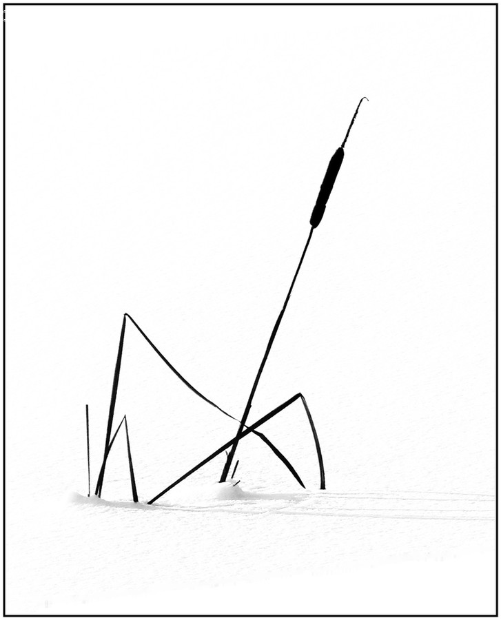Art, Drawing