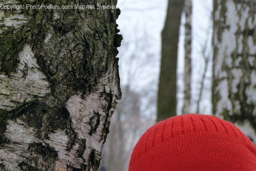 Beanie, Cap, Clothing, Hat