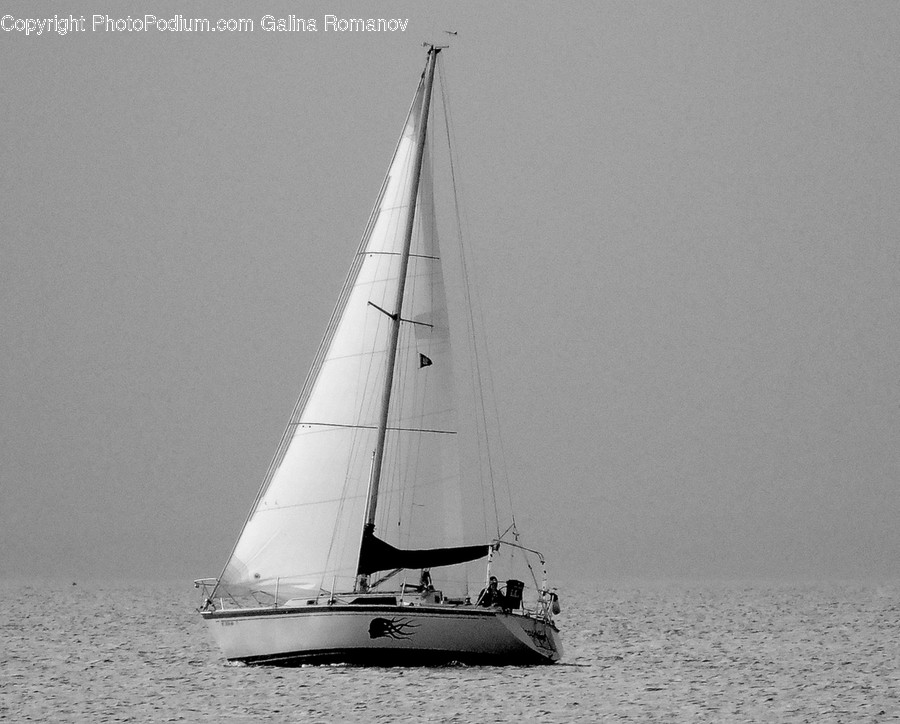 Transportation, Vessel, Watercraft, Yacht, Sailboat