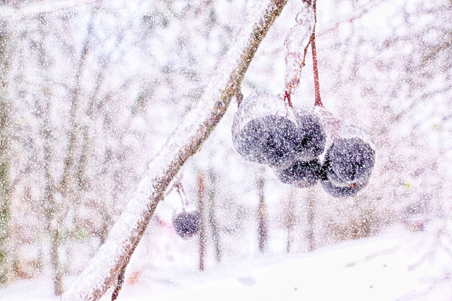 Outdoors, Snow