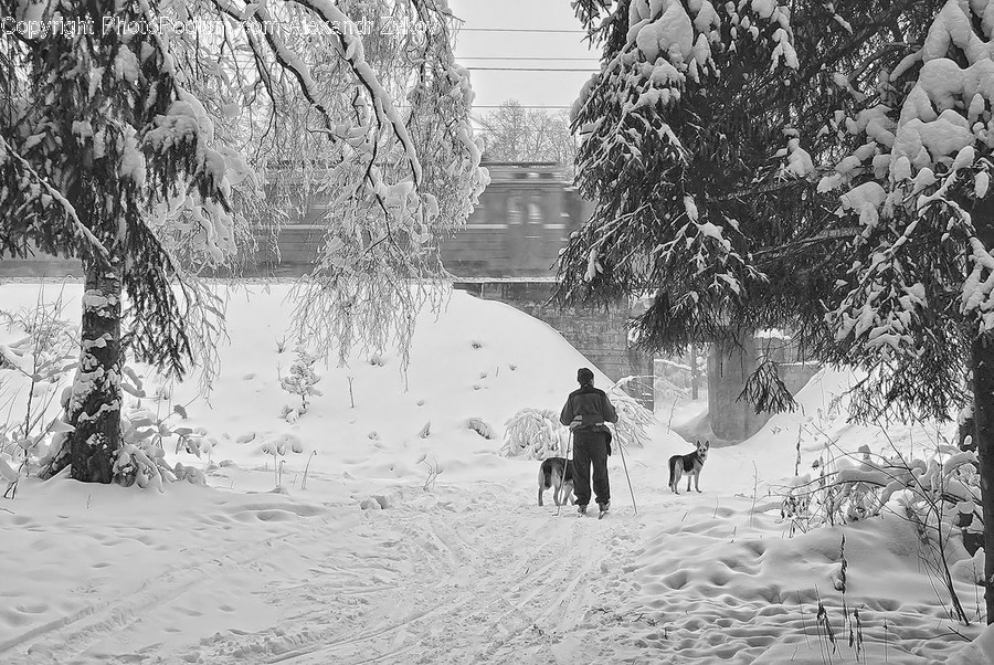 Human, People, Person, Outdoors, Snow