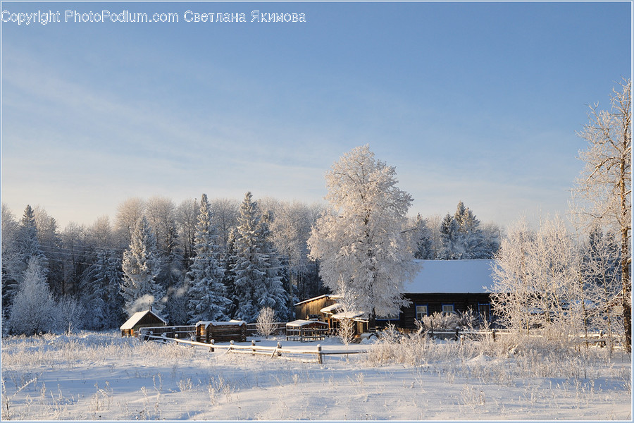 Frost, Ice, Outdoors, Snow, Landscape