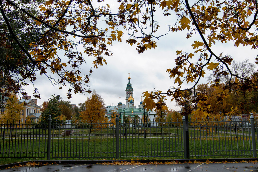 Park, Landscape, Nature, Outdoors, Scenery
