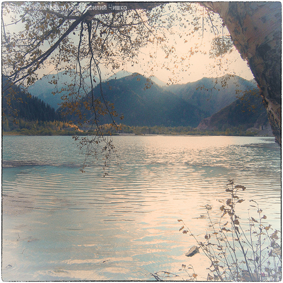 Flood, Nature, Landscape, Outdoors, Scenery