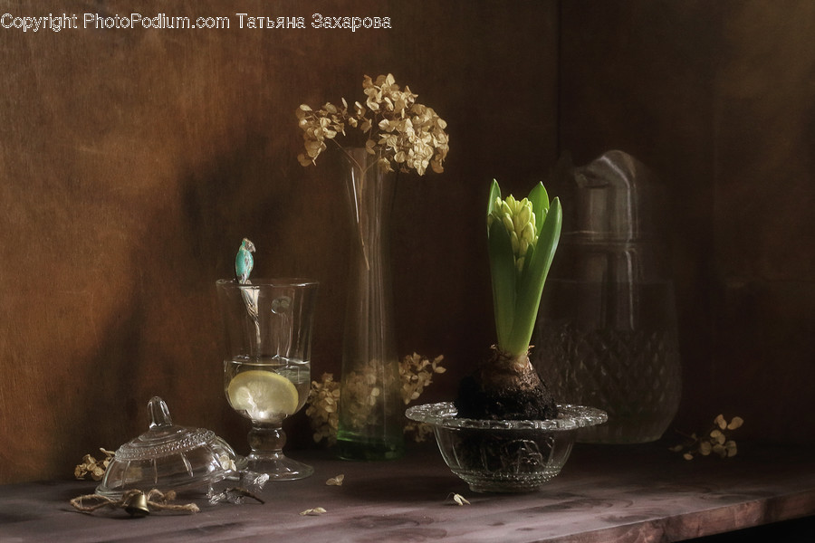 Glass, Goblet, Flora, Jar, Plant