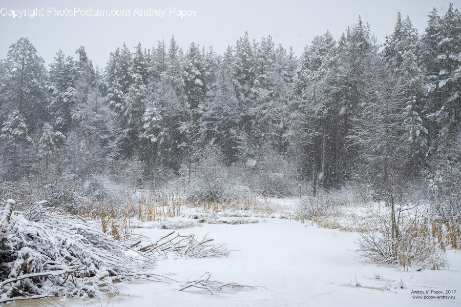 Outdoors, Snow, Frost, Ice, Landscape