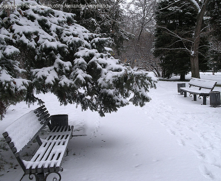 Bench, Park Bench, Furniture