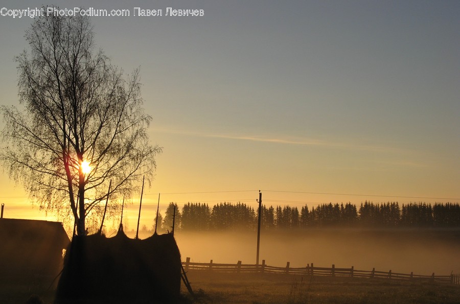 Dawn, Dusk, Nature, Outdoors, Red Sky