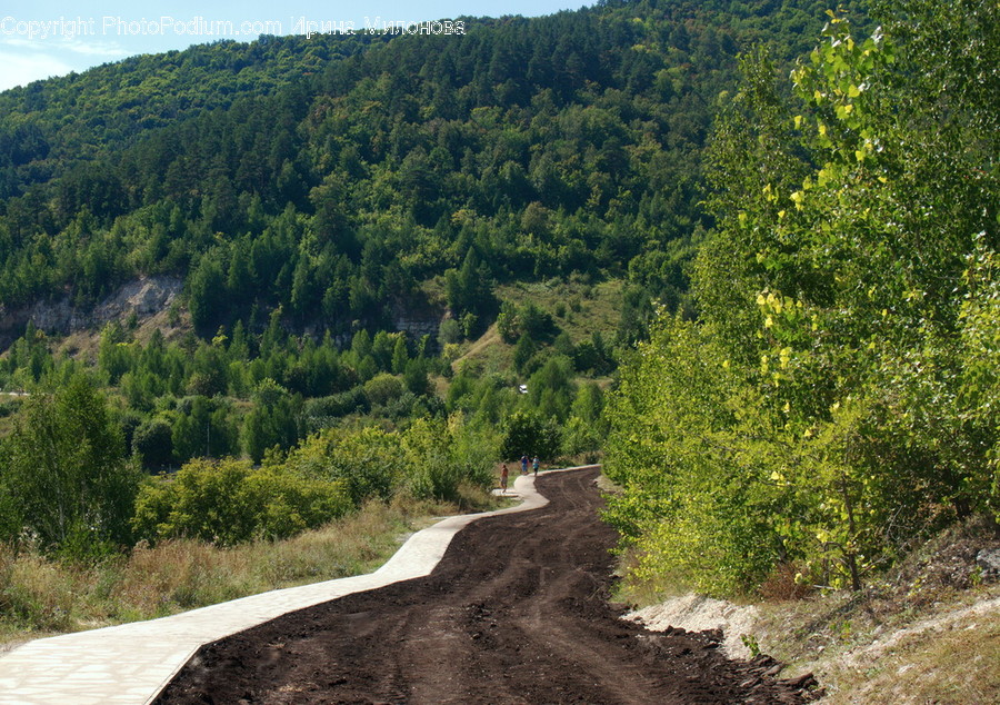 Dirt Road, Gravel, Road, Landslide, Nature