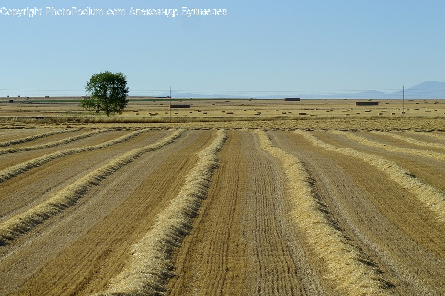 Soil, Dirt Road, Gravel, Road