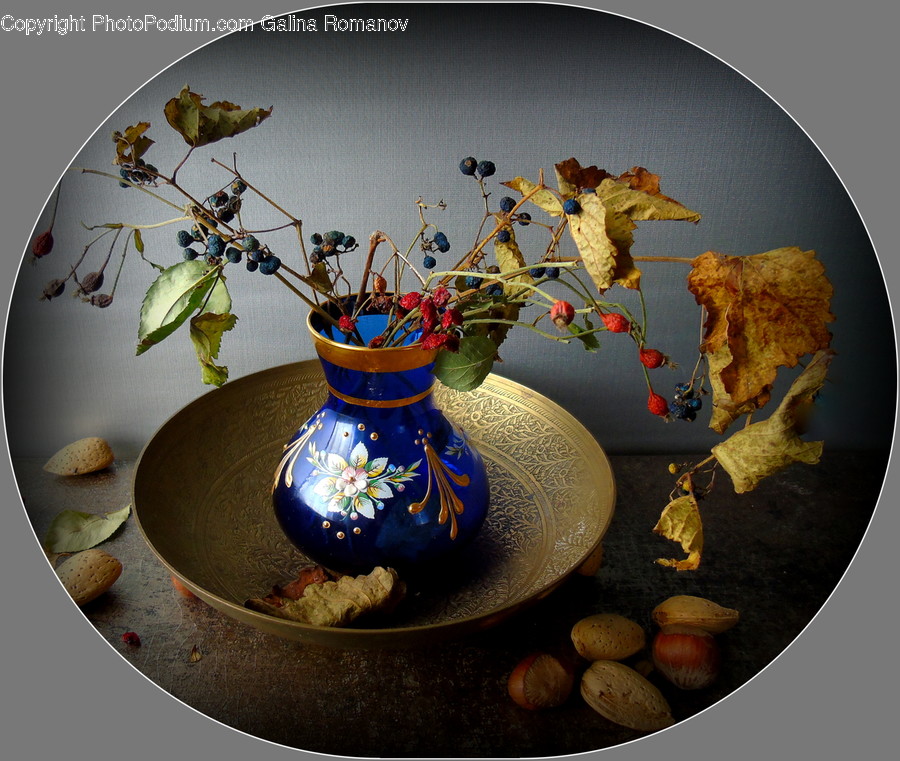 Flora, Jar, Plant, Potted Plant, Pottery
