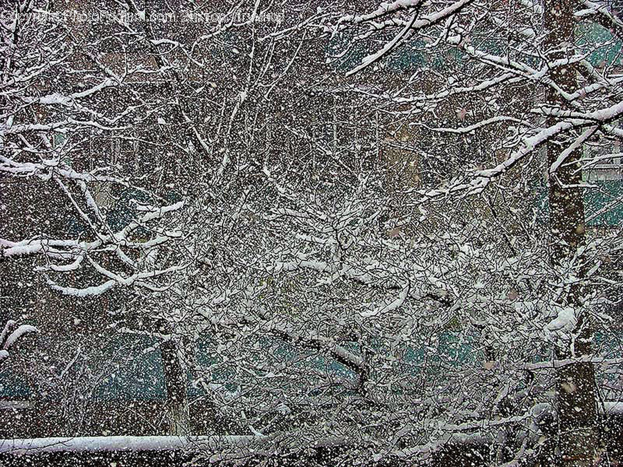 Frost, Ice, Outdoors, Snow, Ground