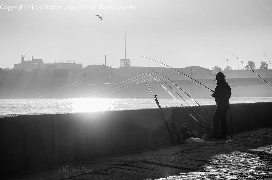 Human, People, Person, Fishing, Leisure Activities