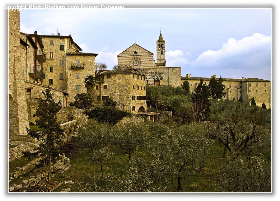 Architecture, Castle, Fort, Bell Tower, Clock Tower, Tower, Ivy