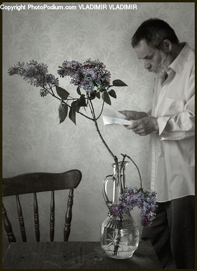 Human, People, Person, Plant, Potted Plant, Chair, Furniture