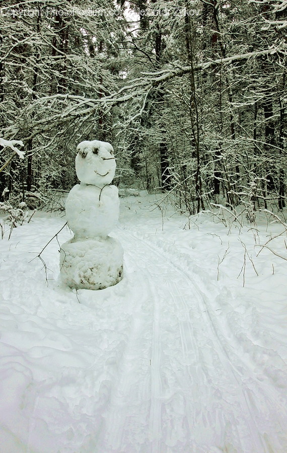 Outdoors, Snow, Snowman, Winter, Flora