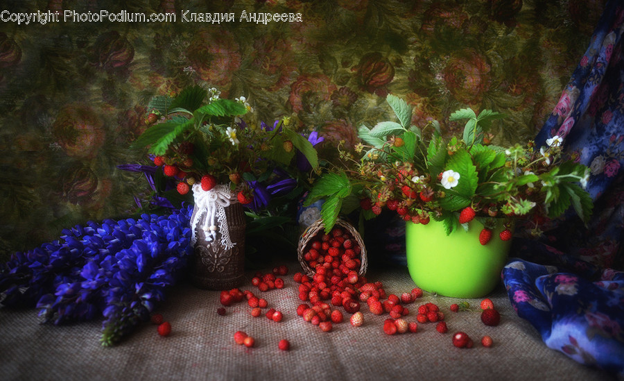 Flora, Food, Fruit, Plant, Produce