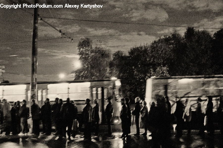 People, Person, Human, Crowd, Silhouette, City, Downtown