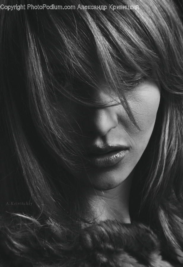Human, People, Person, Face, Portrait