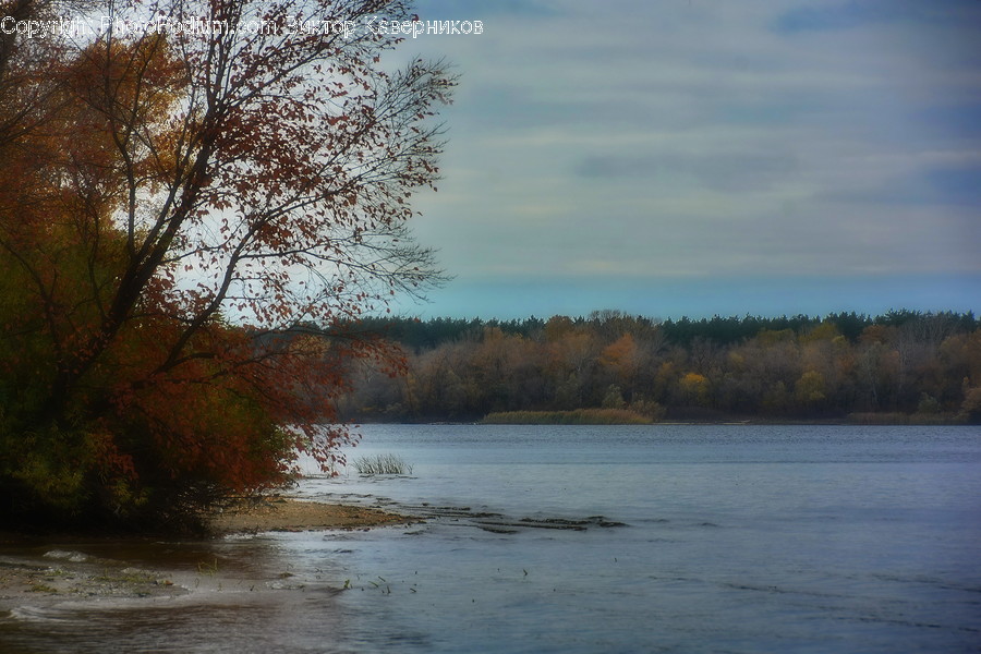 Outdoors, River, Water, Dirt Road, Gravel
