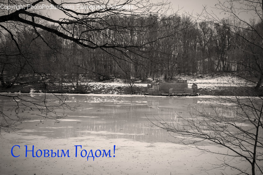 Ice, Outdoors, Snow, Flora, Plant