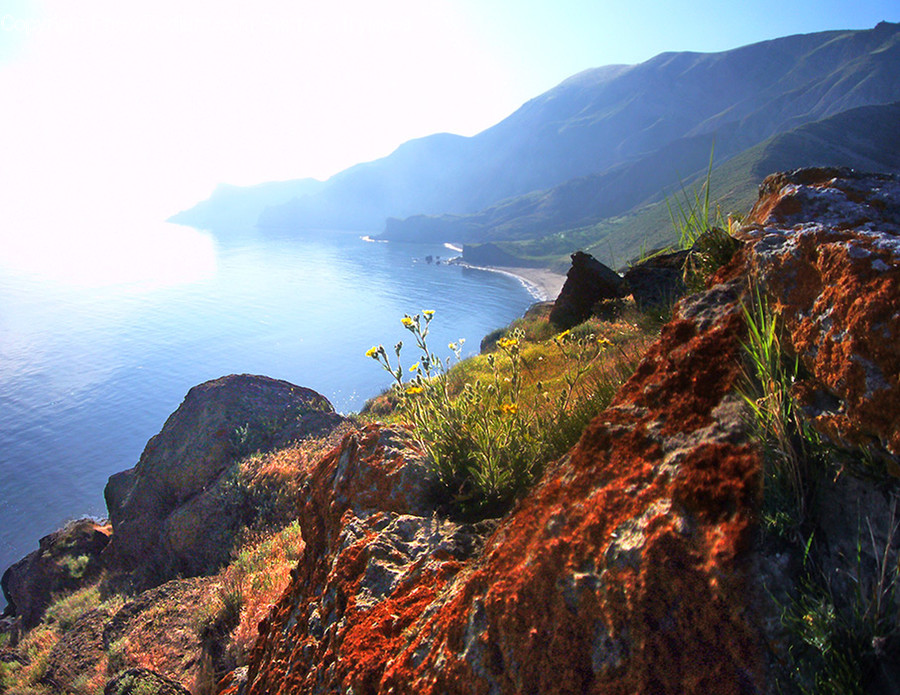 Coast, Nature, Ocean, Outdoors, Sea