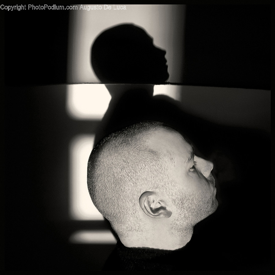 Silhouette, Head, Face, Human, Person