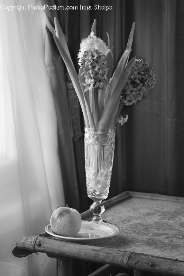 Jar, Pottery, Vase, Blossom, Flora