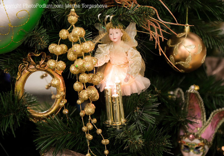 Ornament, Conifer, Flora, Plant, Tree