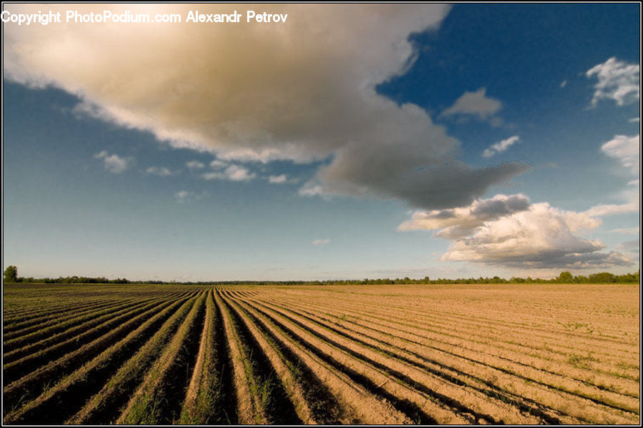 Field, Azure Sky, Cloud, Outdoors, Sky, Road