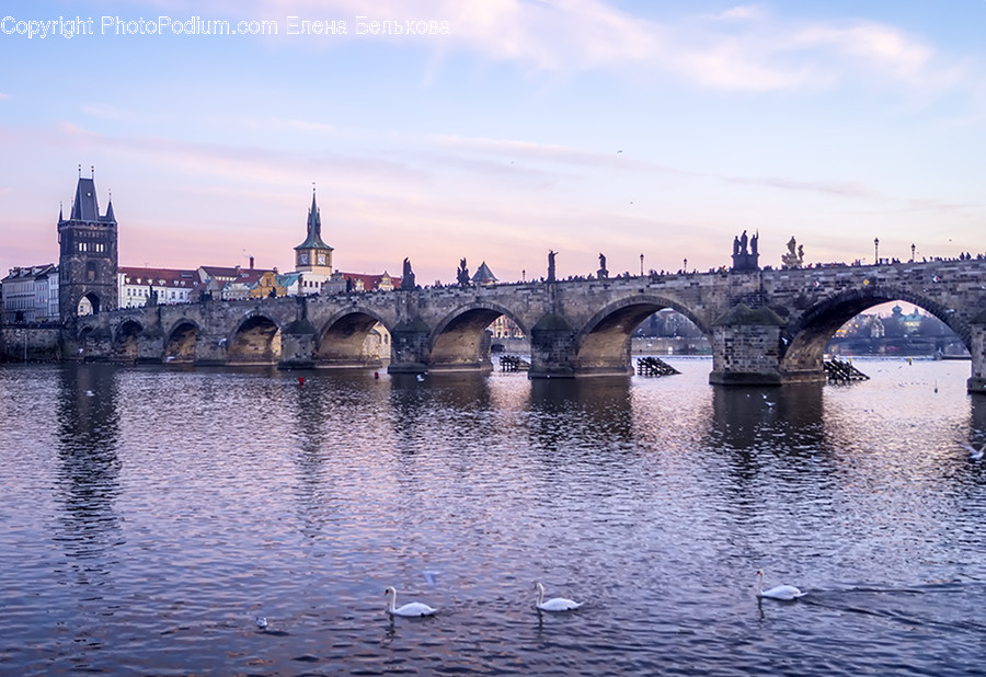 Bridge, Building, Architecture, Castle, Cathedral