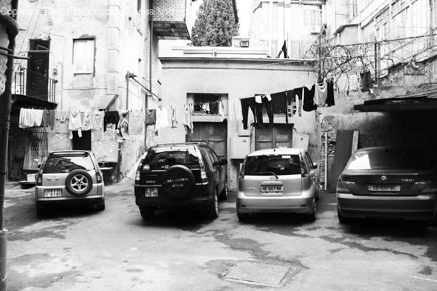 Transportation, Van, Vehicle, Parking, Parking Lot
