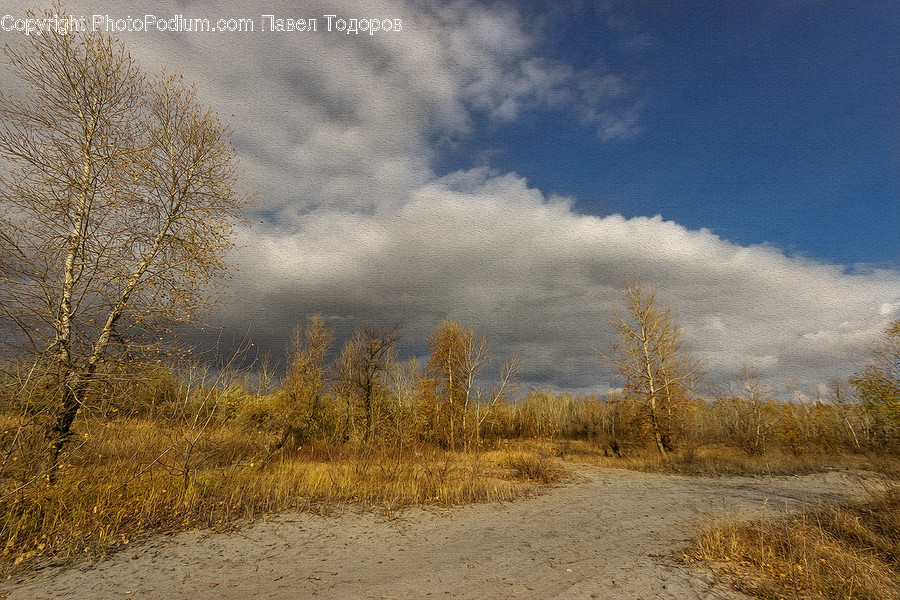 Dirt Road, Gravel, Road, Field, Grassland