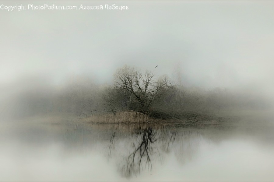 Fog, Nature, Weather