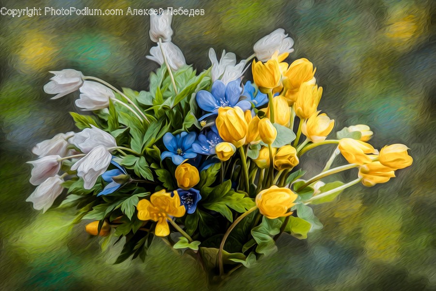 Blossom, Flora, Flower, Flower Arrangement, Flower Bouquet