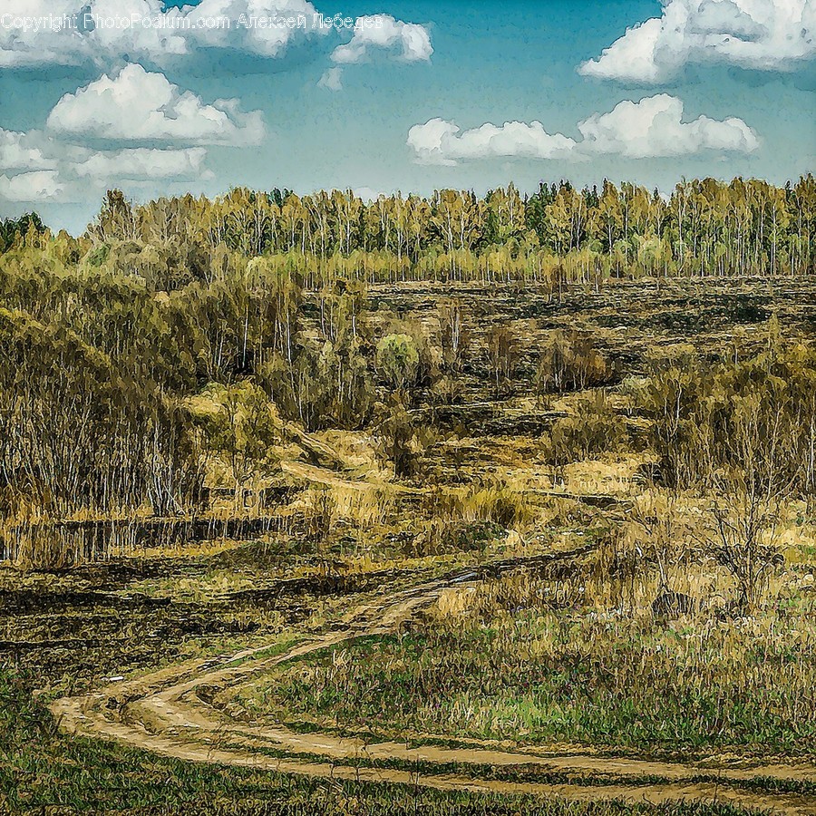 Field, Grassland, Outdoors, Plateau, Flora