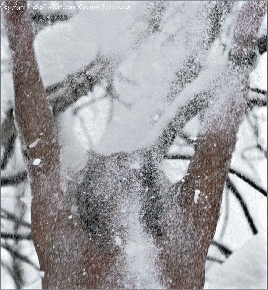 Outdoors, Snow, Blizzard, Nature, Storm