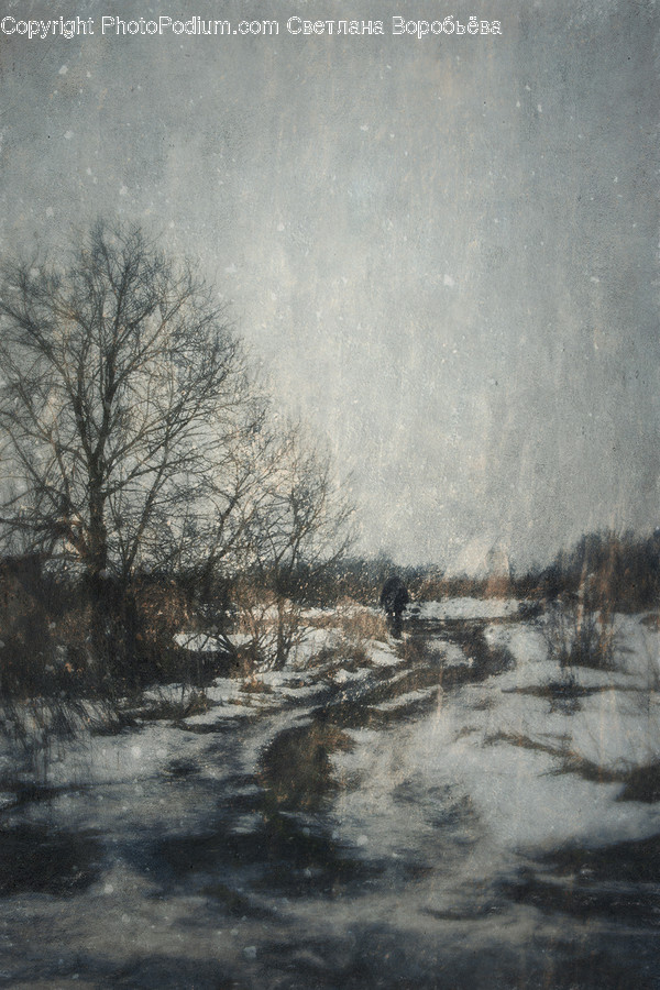 Blizzard, Nature, Outdoors, Snow, Storm