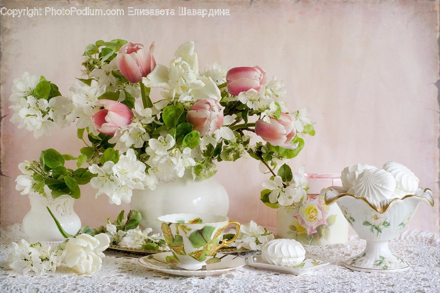 Blossom, Flora, Flower, Peony, Plant