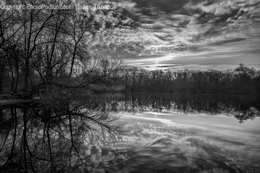 Land, Marsh, Outdoors, Swamp, Water