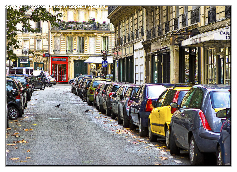 Automobile, Car, Vehicle, Parking, Parking Lot, Road, Street