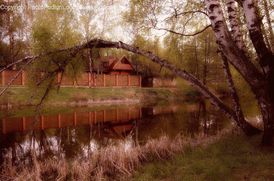 Building, Countryside, Hut, Nature, Outdoors