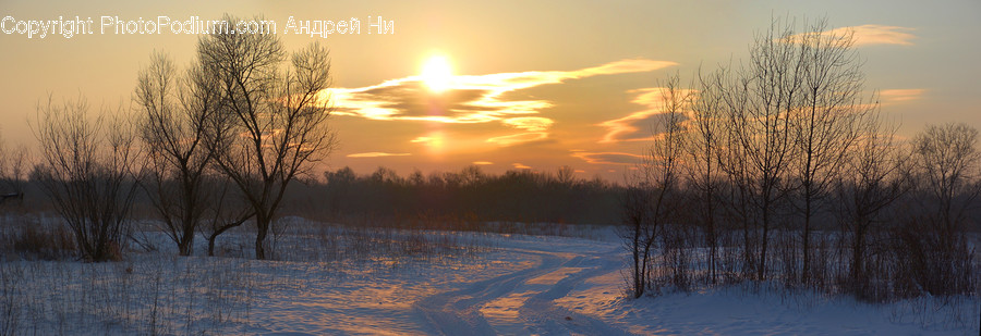 Dawn, Dusk, Nature, Outdoors, Red Sky