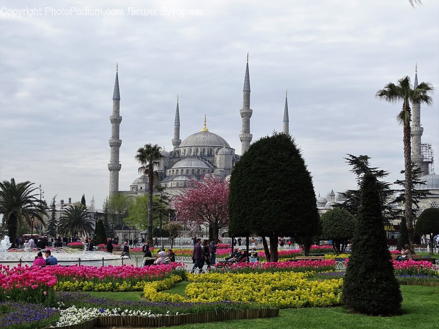 Architecture, Building, Dome, Mosque, Worship